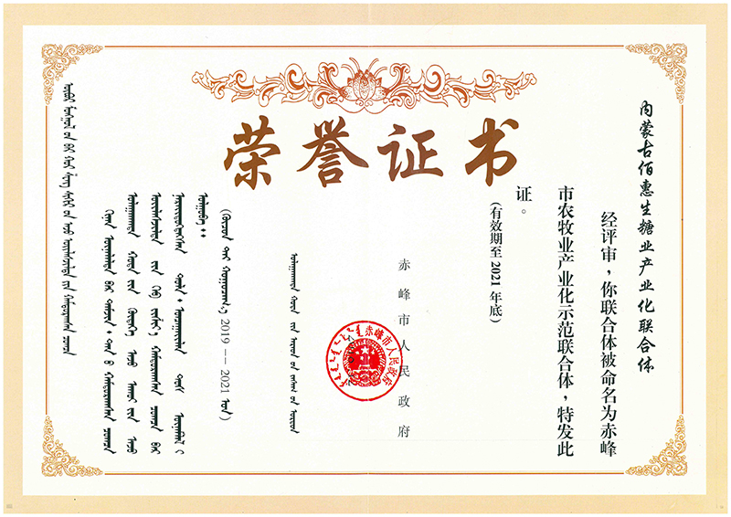 赤峰市龍頭企業