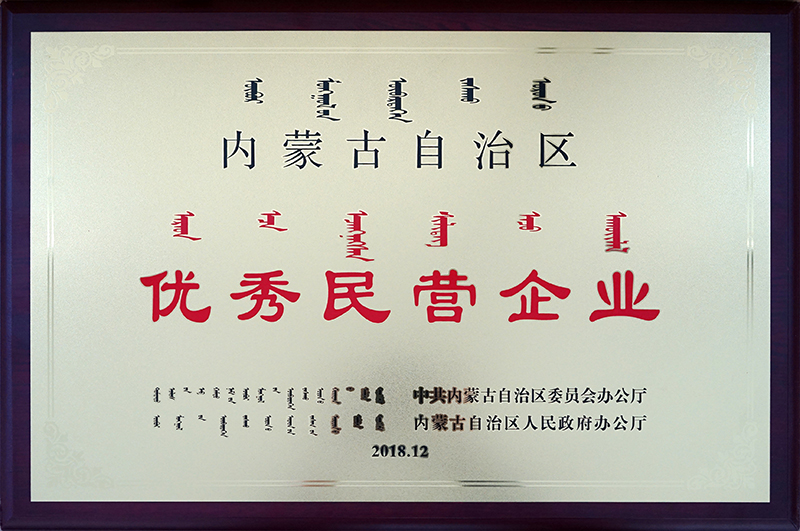 2018年12月被自治區評為優秀民營企業