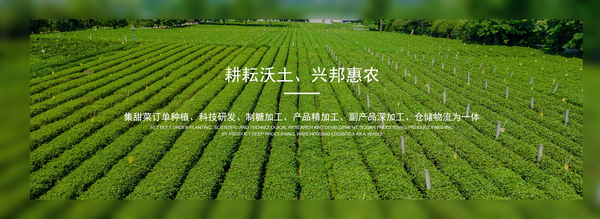 酵母廠家