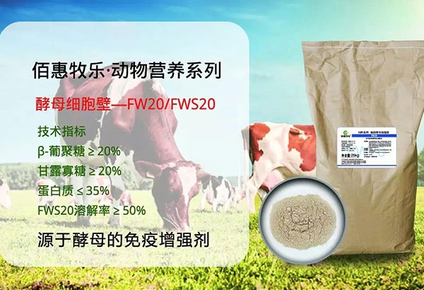 酵母細胞壁