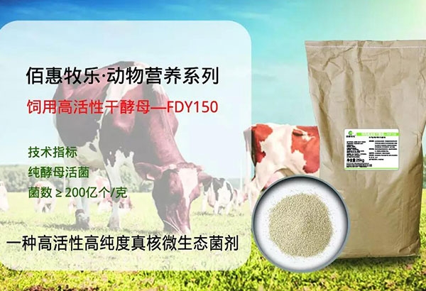 飼用活性幹酵母