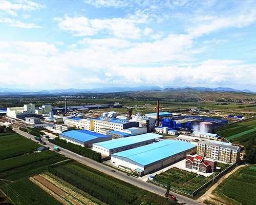 內蒙古丝瓜视频污新農業科技股份有限公司廠區全貌