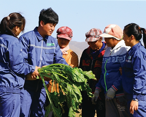 現場指導農戶科學種植