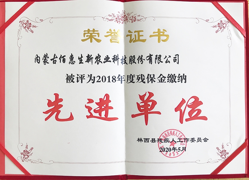 2020年5月被林西縣殘疾人工作委員會評為2018年度殘保金繳納先進單位