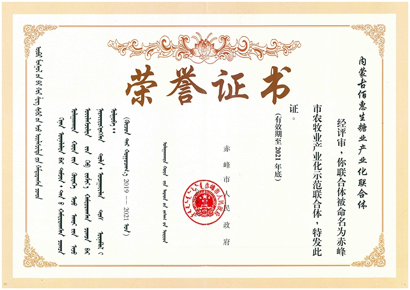 赤峰市龍頭企業