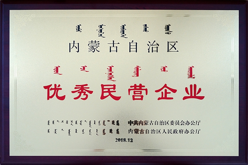 2018年12月被自治區評為優秀民營企業