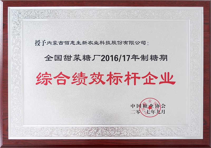 綜合績效標杆企業-(1)