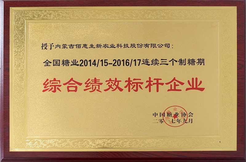綜合績效標杆企業-(2)